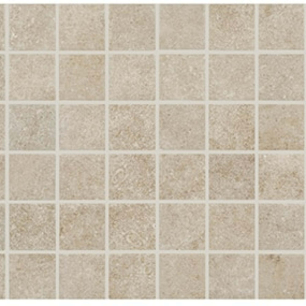 Historic Limestone in Native-2x2-Matte Tile