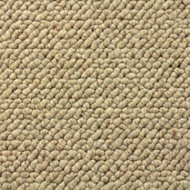 Hugo in Earth Carpet