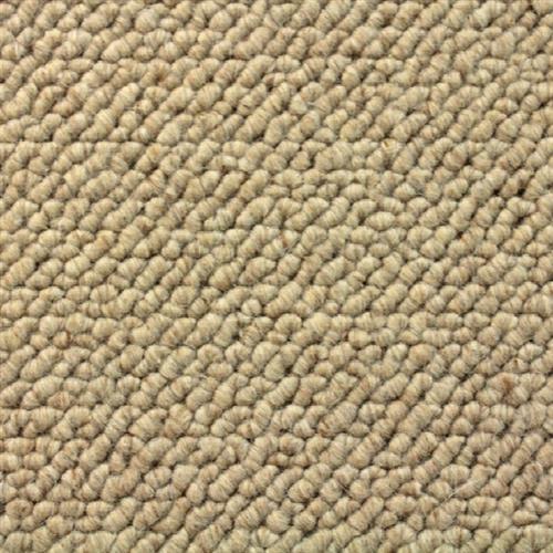 Hugo in Earth Carpet