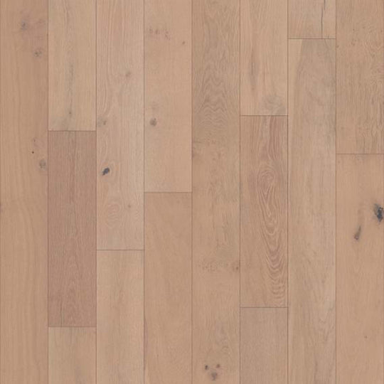 ELEGANCE OAK in Meringue