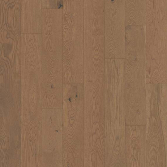 ELEGANCE OAK in Caramel