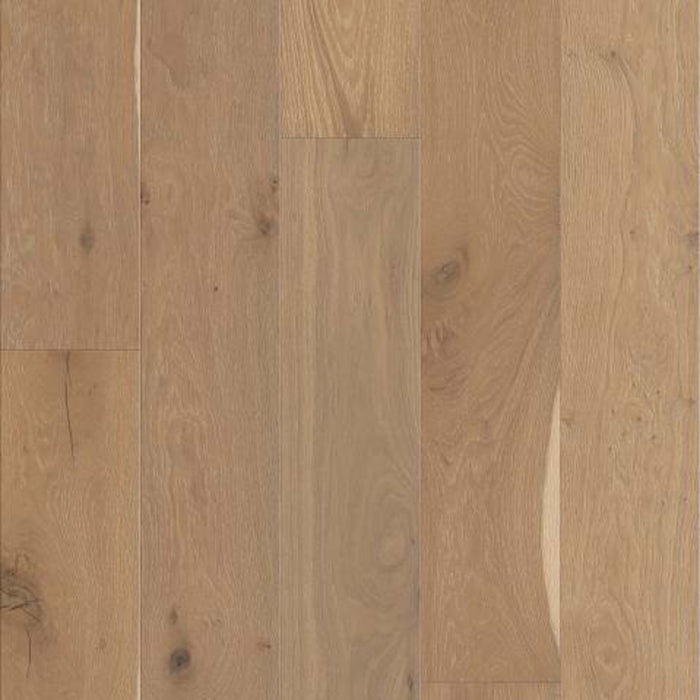 PERSPECTIVES in Alla Prima Hardwood