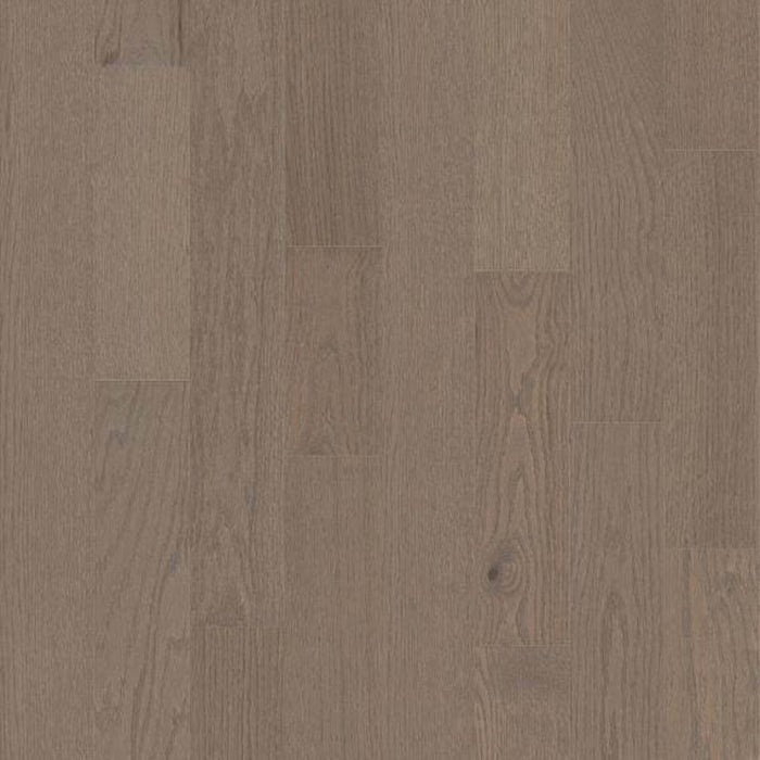 YORKTOWN in Ashen Taupe Hardwood