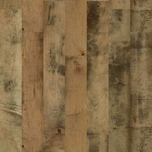 CORRIGAN MAPLE in Secretariat