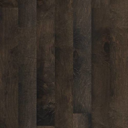 CORRIGAN MAPLE in Majestic Prince