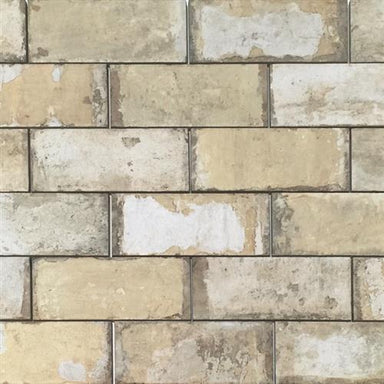 Havana in Tropicana - 8x16 Tile