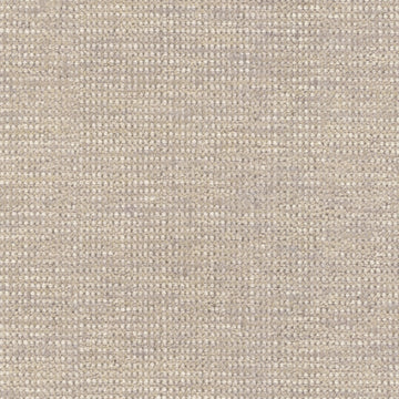 Sand Dune