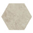 Scripter in Hero Hex Tile