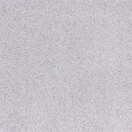 Highlights in Super Star Carpet