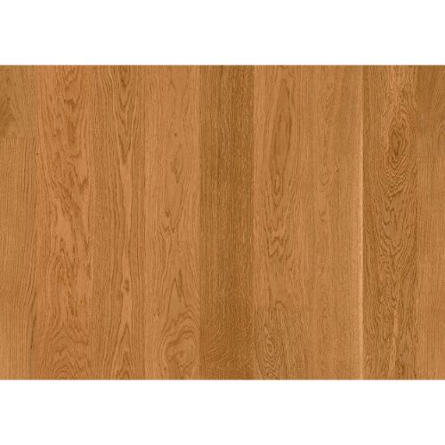 Live Matt in Oak American