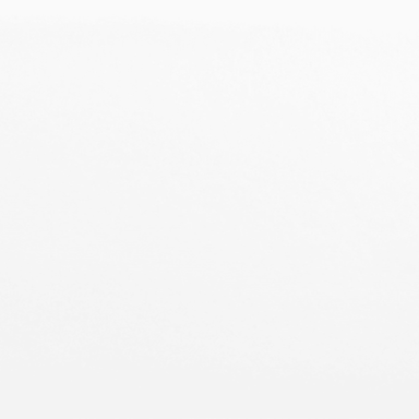 Catch in Ice 4" X 16" Tile