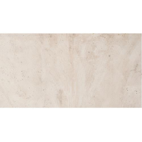 Imagica in Vision 12x24  Tile