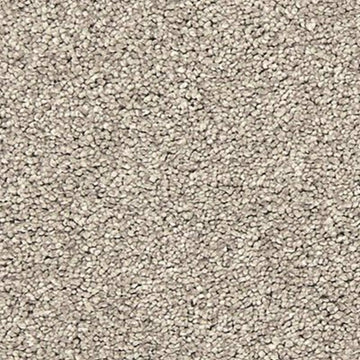 Carbon Dust