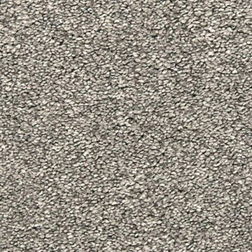 Charcoal Dust