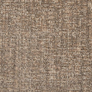 Integration in Desert Carpet