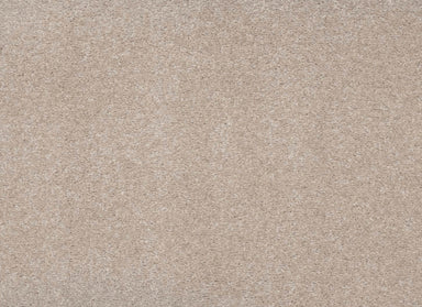 Indescribable Style in Hearth Beige Carpet