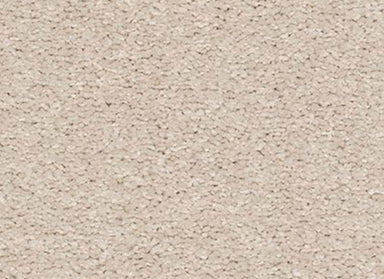 Dramatic Intrigue in Illuminating Carpet