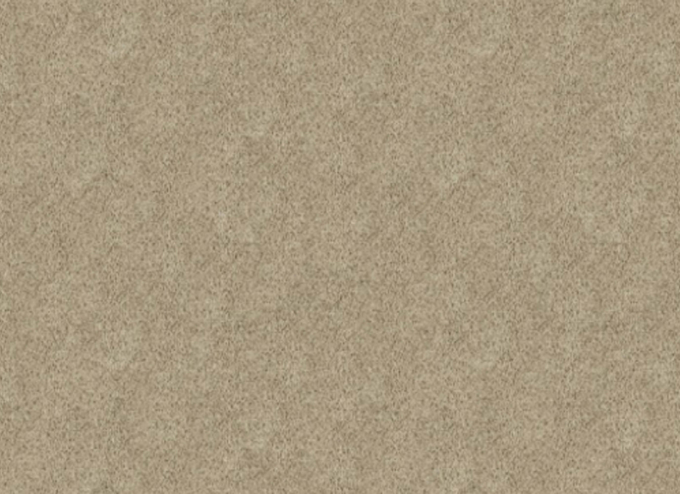 Iconic Look II in Island Taupe Carpet
