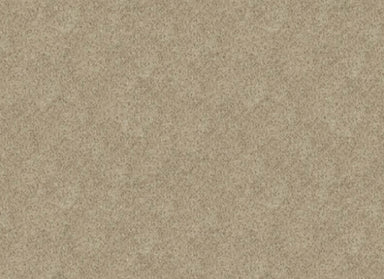 Iconic Look II in Island Taupe Carpet