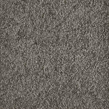 Jazzy in Pewter Carpet