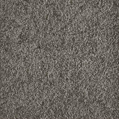 Jazzy in Pewter Carpet