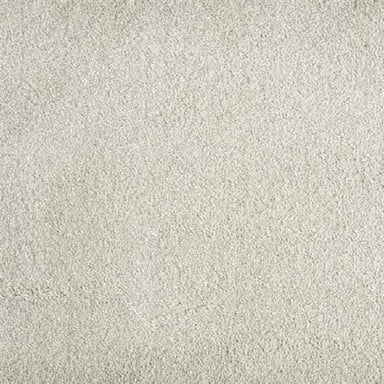 Jolly in Platinum Carpet