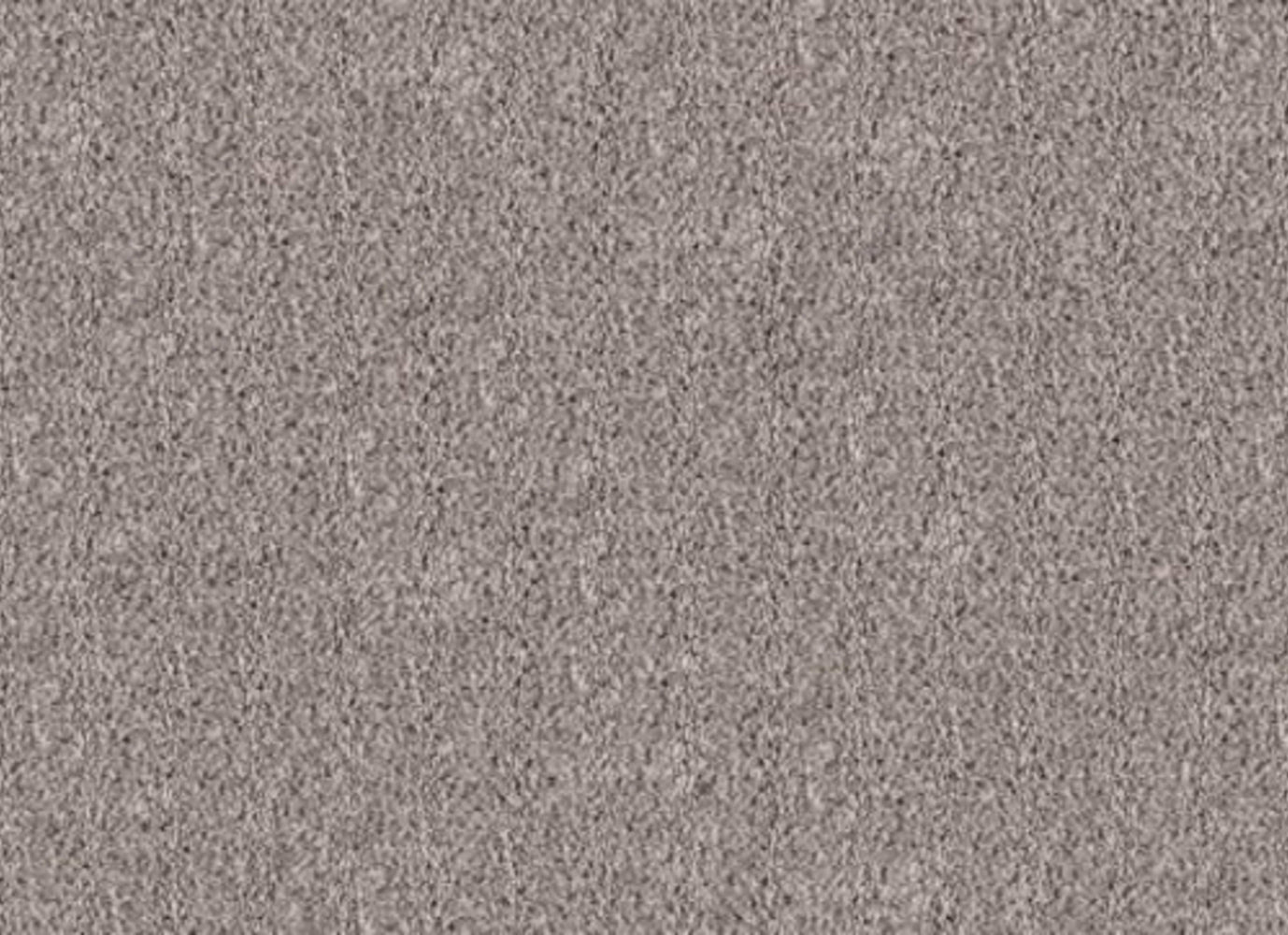 Simply Opulent in Mystique Carpet