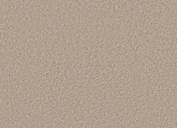 Sea Floor