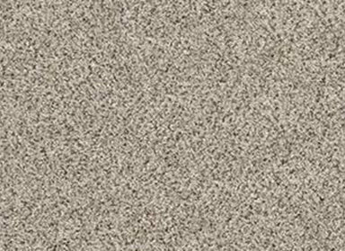 CIRCLE PARK in River Rock Carpet