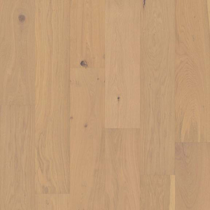 ANGEL'S CAMP 7.5 in Champagne Hardwood