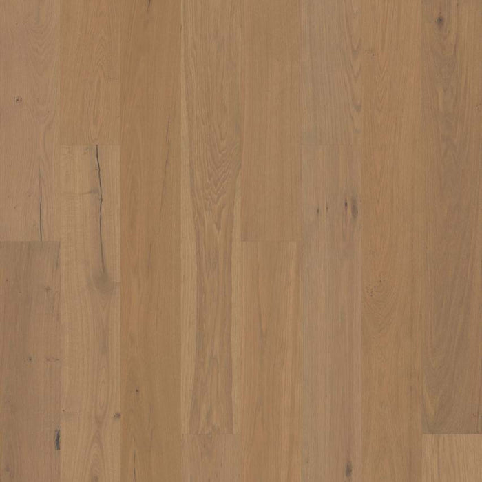 ANGEL'S CAMP 7.5 in Crema Hardwood