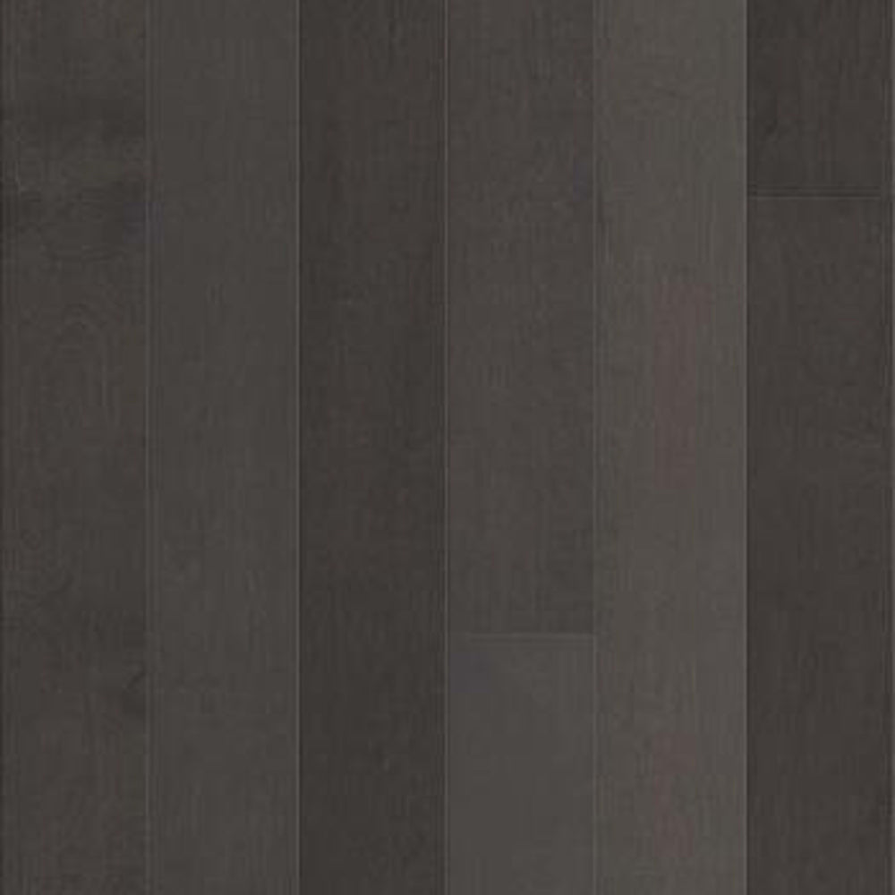 DALLINGTON MAPLE in Contemporary Hardwood