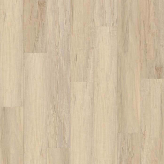 BLAKEVILLE PLUS in Spalted Maple