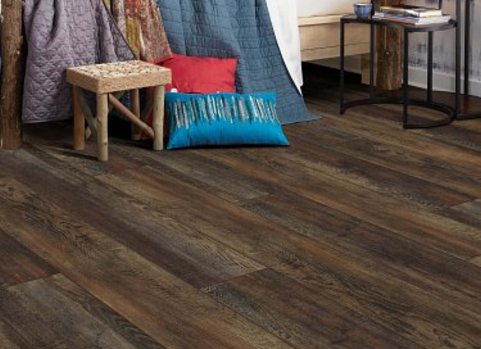 COYOTE RIDGE in Orso