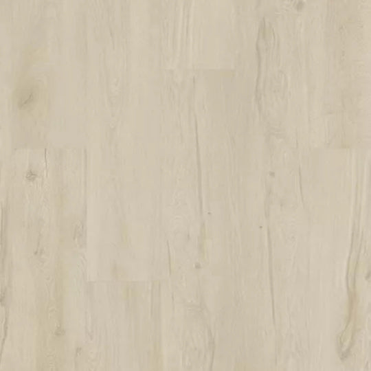 Artisan Reserve in Brighton