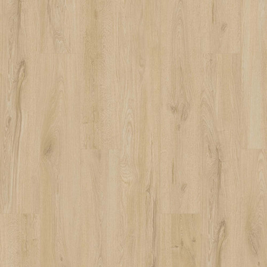 Artisan Reserve in Bellini