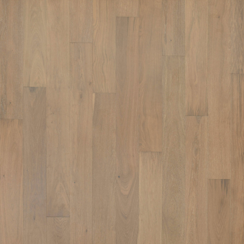 Entrevaux in Briar Wood Oak Hardwood