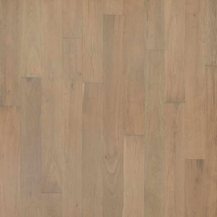 Entrevaux in Briar Wood Oak Hardwood