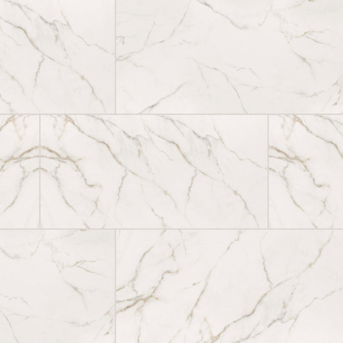 Kaya in Calacatta Lucca - 24x48 Polished Tile
