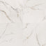 Kaya in Calacatta Lucca - 24x24 Polished Tile