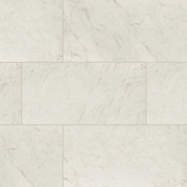 Kaya in Carrara Bianco - 24x48 Matte Tile