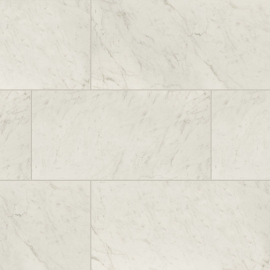 Kaya in Carrara Bianco - 24x48 Matte
