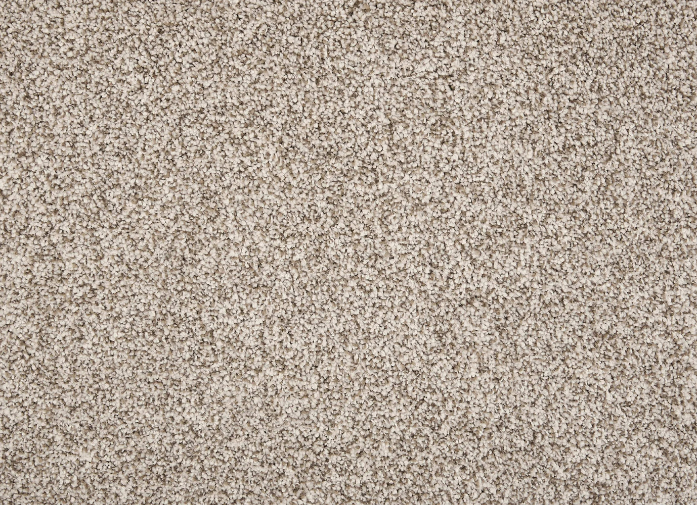 Knights Tale II in Driftwood Carpet