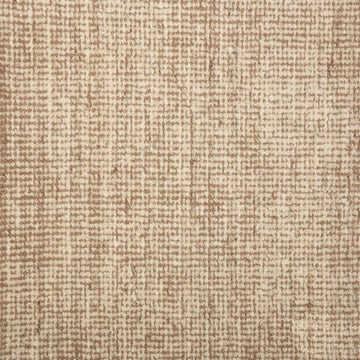 Palomino
