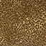 Lake Jaguar in Sand Brown Carpet
