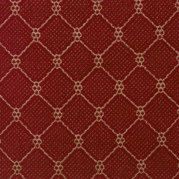 Robin Red-254