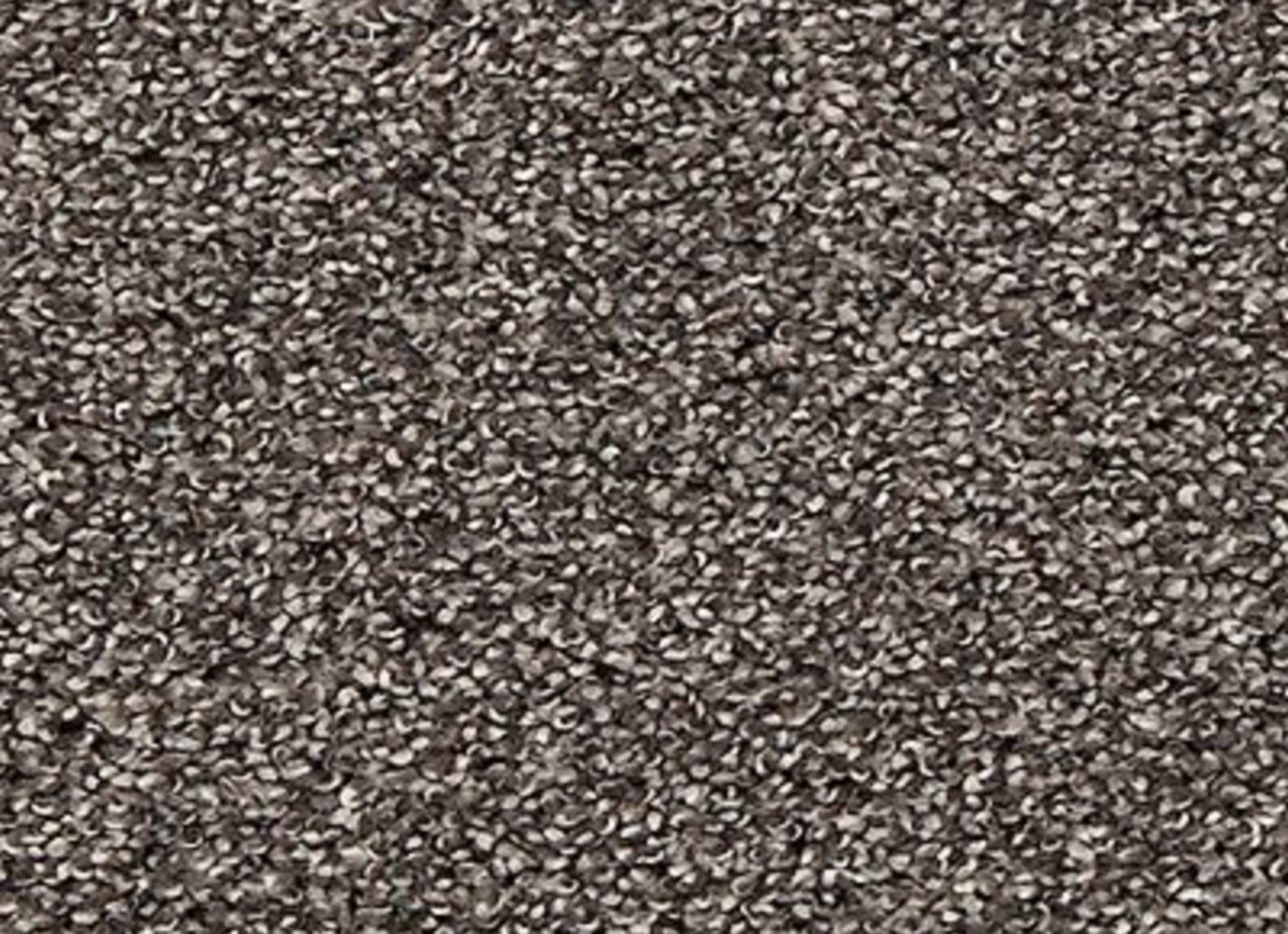 Light Focus in Legend Carpet