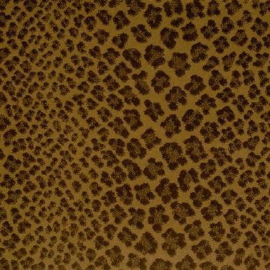 Linus in Saddle Carpet