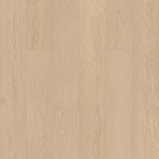 BOWMAN PLUS in Oceanfront