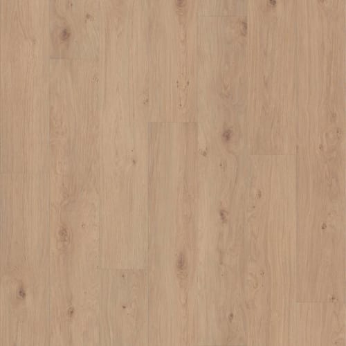 JENSEN RIDGE in Occasional Beige